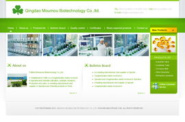 青島網(wǎng)景 做客戶信賴的企業(yè)，專業(yè)打造美工模板與網(wǎng)站建設(shè)